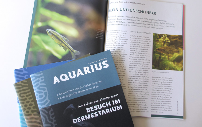 AugenCentrum Aachen Eschweiler, Gestaltung Innenräume & Fassade